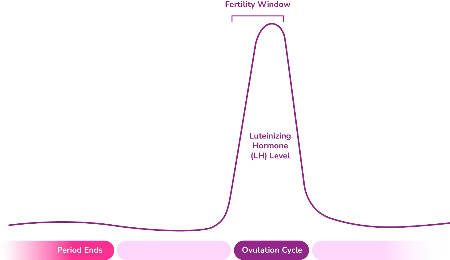 LH ovulation cycle chart
